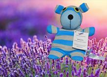 Lavender Microwavable Teddy Bear